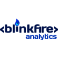 Blinkfire分析标志