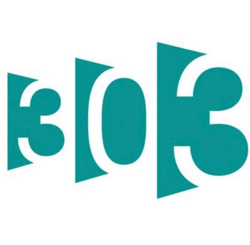 303软件的标志