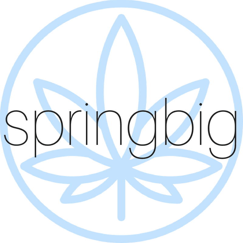 Springbig标志